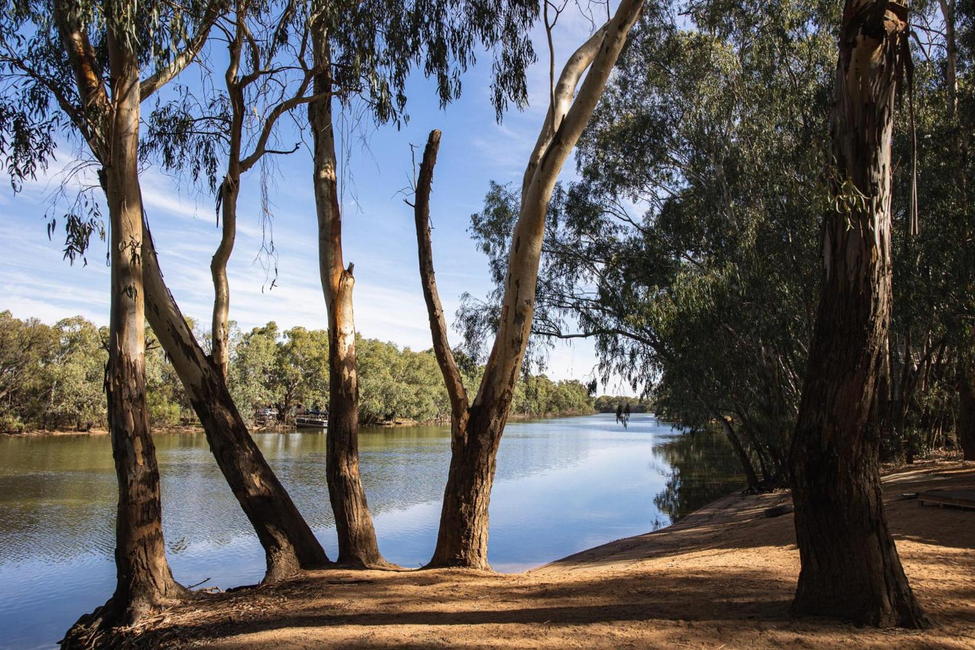 Nyngan Riverside Tourist Park Hotel Bagian luar foto