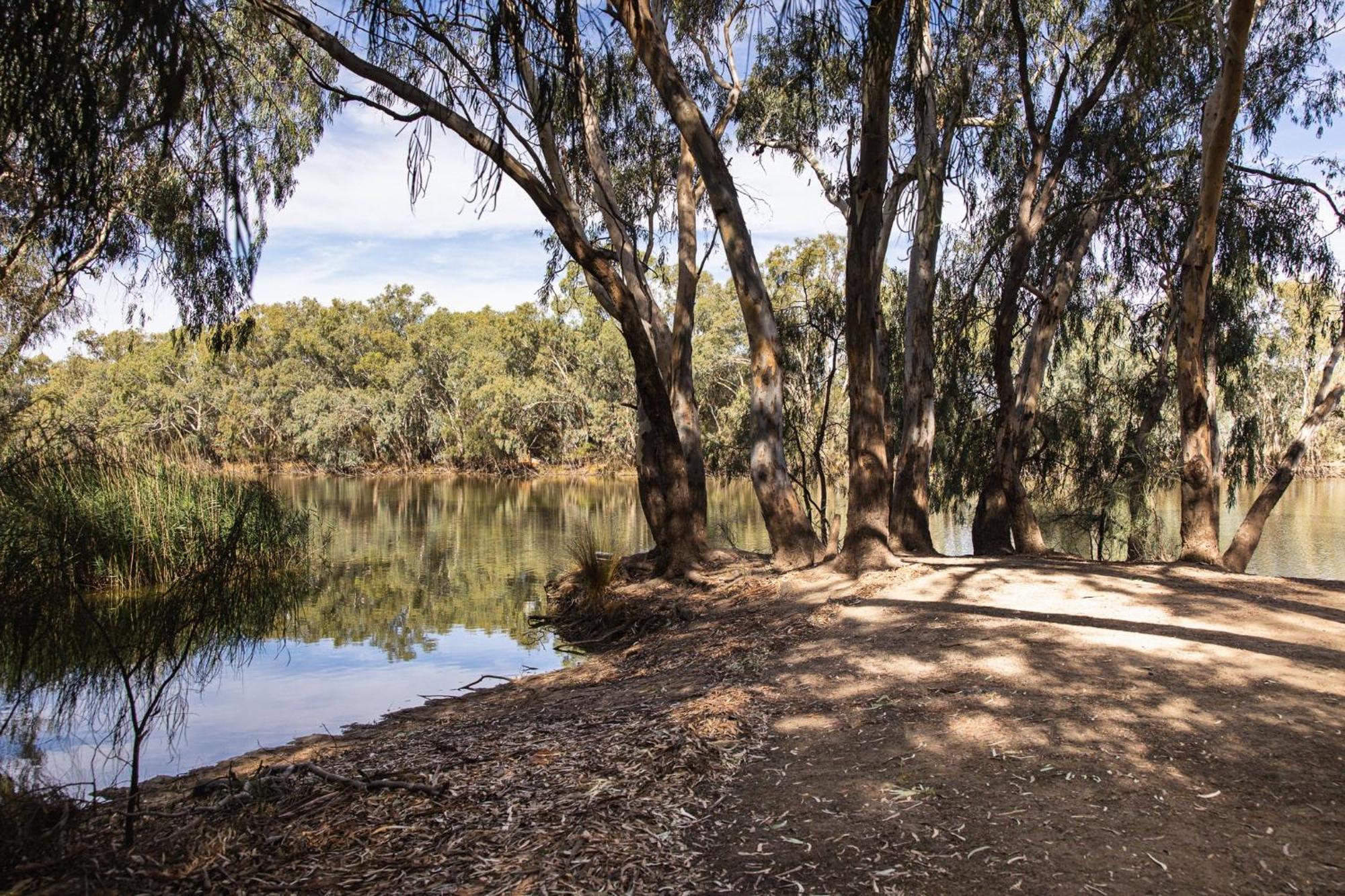 Nyngan Riverside Tourist Park Hotel Bagian luar foto